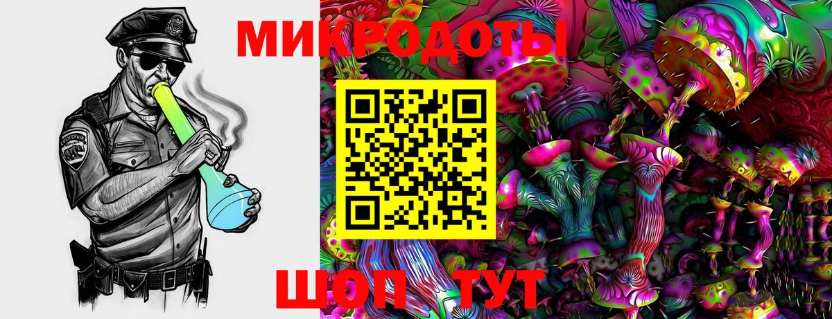 Псилоцибиновые грибы Magic Shrooms  купить закладку  Псилоцибиновые грибы Magic Shrooms  Выборг 