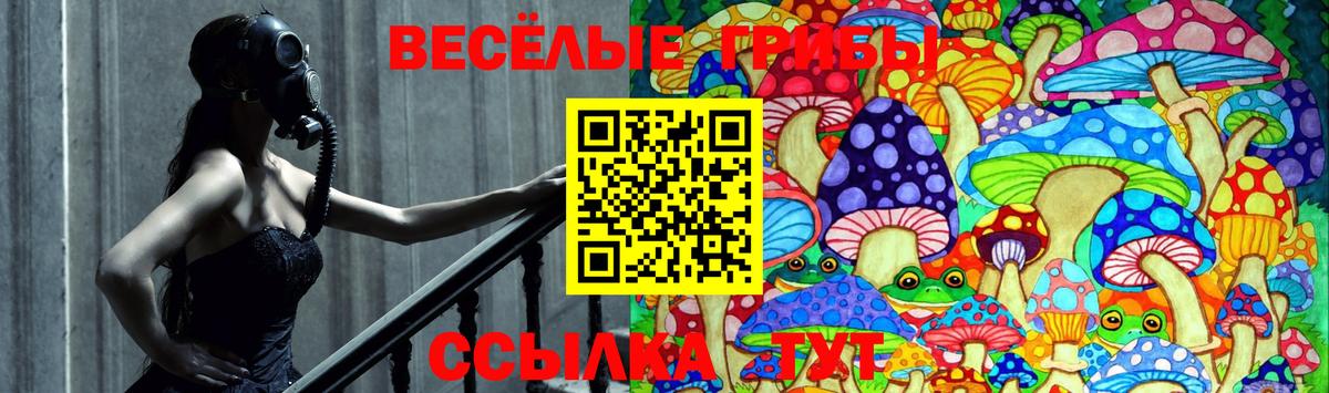Галлюциногенные грибы мицелий  Вход с VPN  Галлюциногенные грибы GOLDEN TEACHER  Выборг 